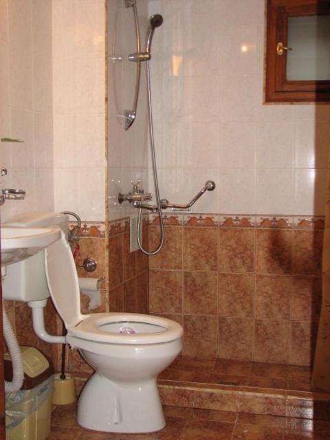 Hotel Янко Кехая à Koprivchtitsa Extérieur photo